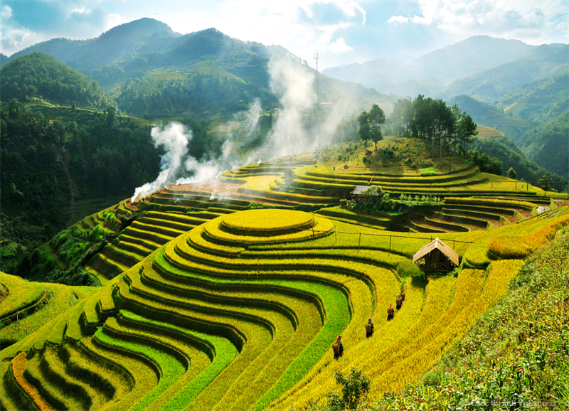 Mu Cang Chai