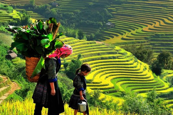 Sapa Vietnam, une perle dans les montagnes